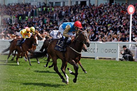 king george tips|King George VI Stakes tips and predictions: Auguste Rodin the .